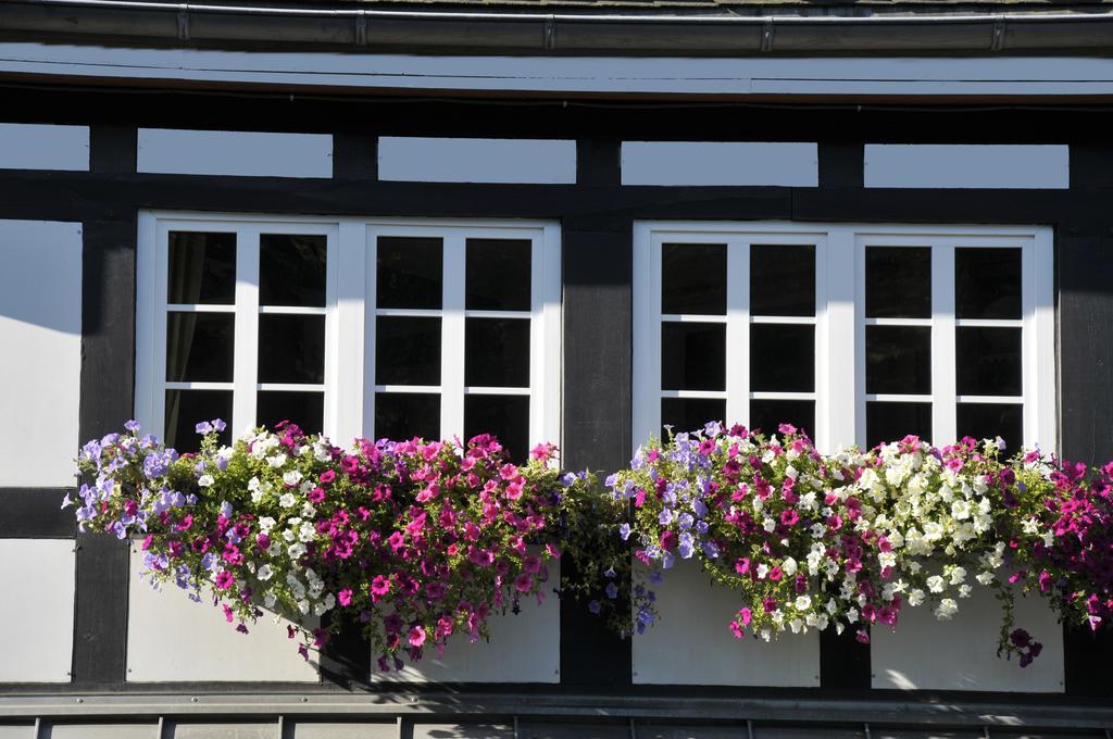 Landidyll Hotel Haus Hochstein Eslohe Kültér fotó